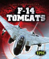 F-14 Tomcats 1600149413 Book Cover