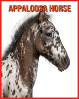 Appaloosa Horse: Amazing Pictures & Fun Facts on Animals in Nature B08W7SNKYP Book Cover