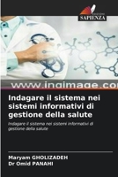 Indagare il sistema nei sistemi informativi di gestione della salute: Indagare il sistema nei sistemi informativi di gestione della salute (Italian Edition) 6203670499 Book Cover