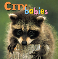 City Babies 1559719818 Book Cover