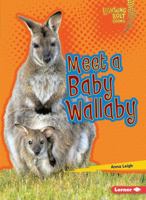 Meet a Baby Wallaby 1512433861 Book Cover