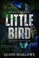 Little Bird: A Stepdad, Lumberjack, MFM Romance (Hawke's Wood) B0GFW1QJ9N Book Cover