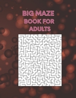 Big Maze Book For Adults: 100 Mazes Book B091HZP9X8 Book Cover