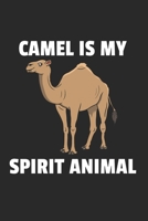 Kamel Notizbuch: Kamel Notizbuch f�r Liebhaber / Notizheft / Notizblock A5 (6x9in) Dotted Notebook / Punkteraster / 120 gepunktete Seiten 1671657128 Book Cover