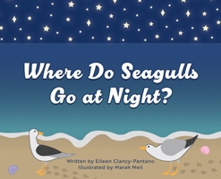 Where Do Seagulls Go at Night? 1961978113 Book Cover