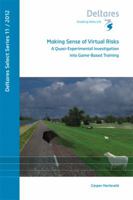 Making Sense of Virtual Risks 1614991707 Book Cover