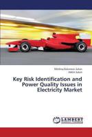 Key Risk Identification and Power Quality Issues in Electricity Market 3838303830 Book Cover