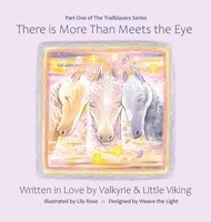 There is More Than Meets the Eye 0578301253 Book Cover