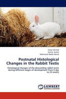 Postnatal Histological Changes in the Rabbit Testis: Histological changes of the descending rabbit testis during different stages of development from 0 day to 24 weeks 3659295493 Book Cover