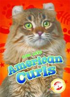 American Curls 1626176256 Book Cover