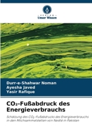 CO2-Fußabdruck des Energieverbrauchs (German Edition) 6630191544 Book Cover