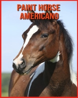 Paint Horse Americano: Immagini incredibili e fatti sui Paint Horse Americano B08XLJ8YJY Book Cover