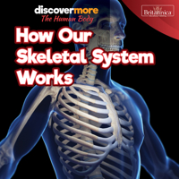 How Our Skeletal System Works 1641904488 Book Cover