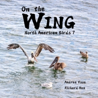 On the Wing - North American Birds 7 1998856593 Book Cover