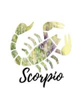 Scorpio: Scorpio Cornell Notes 1727783530 Book Cover