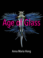 Age of Glass 0996316795 Book Cover