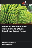Moltiplicazione in vitro della banana (Musa Spp.) cv. Grand Naine 620069348X Book Cover
