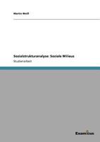 Sozialstrukturanalyse: Soziale Milieus 3656992355 Book Cover