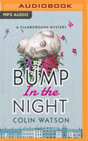 Bump in the Night 0413553809 Book Cover