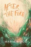 After the Fire B0C6W1FZV1 Book Cover