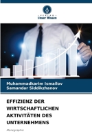 Effizienz Der Wirtschaftlichen Aktivitäten Des Unternehmens (German Edition) 6207896491 Book Cover