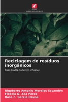 Reciclagem de resíduos inorgânicos (Portuguese Edition) 6207001931 Book Cover