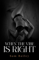 When the Vibe is Right B0BMSKP788 Book Cover