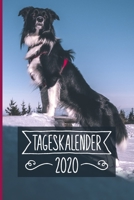 Tageskalender 2020: Terminkalender ca DIN A5 weiß über 370 Seiten I 1 Tag eine Seite I Jahreskalender I Border Collie I Hunde 1702075583 Book Cover