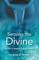 Sensing The Divine 0857466585 Book Cover