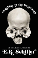 Sunshine in the Catacomb: 38 Short Stories by E.R. Schiller 0578704854 Book Cover