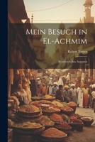 Mein Besuch in El-Achmim: Reisebriefe Aus Aegypten 102277770X Book Cover