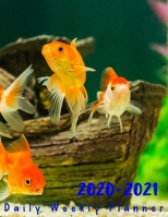 2 Year Planner 2020-2021 Daily Weekly Monthly: see it Bigger Large size Personal Appointment at a Glance Calendar Planner Spread Views 24 Months to Do ... Design Freshwater Aquarium Fish Lover Cover 167845012X Book Cover