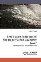 Small-Scale Processes in the Upper Ocean Boundary Layer 3838317645 Book Cover