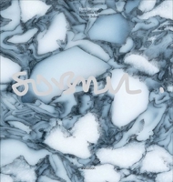 Recyclable by Werner Sobek 3899863046 Book Cover