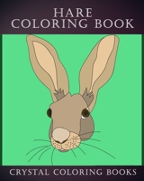 Hare Coloring Book: 30 Simple Line Doodle Style Hare Drawings To Color. A Great Gift For Any Child Or Adults That Love Easy Hand Drawn Artwork. (Animals) 170020985X Book Cover