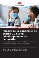 Impact de la pandémie de grippe 19 sur le développement de l'éducation: de los Indígenas de la Comunidad Mbya Guaraní de a Localidad de Pastoreo, Distrito de Obligado (French Edition) B0CJXBMJK4 Book Cover