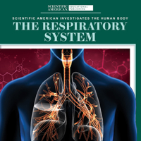 The Respiratory System (Scientific American Investigates the Human Body) 1725351471 Book Cover