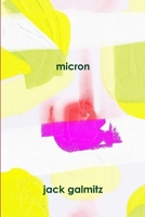 micron 1304055019 Book Cover