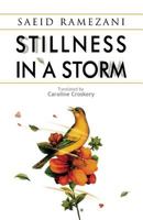 Stillness in a Storm 1508594589 Book Cover