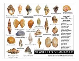 SEASHELLS of PANAMA 3 164994425X Book Cover