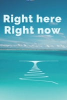 Right here Right now: Journal to help you embrace the present moment. 1696294592 Book Cover