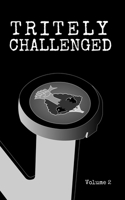 Tritely Challenged Volume 2 B08BTFX714 Book Cover