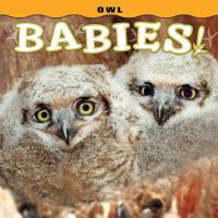 Owl Babies! 1560377291 Book Cover