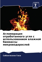 Агломерация отработанн&# 6205677938 Book Cover