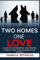 TWO HOMES ONE LOVE: A GUIDE TO CO-PARENTING AND CREATING STABILITY FOR YOUR CHILDREN AFTER DIVORCE B0DT1J7M7J Book Cover