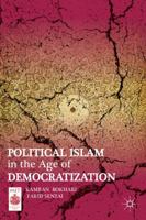 Political Islam in the Age of Democratization 1137008040 Book Cover