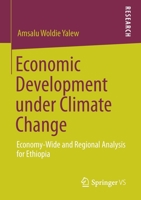 Economic Development Under Climate Change: Economy-Wide and Regional Analysis for Ethiopia 3658294124 Book Cover