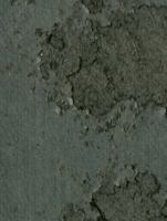 Reports of the United States Tax Court, Volume 132, January 1, 2009, to June 30, 2009 0160868688 Book Cover