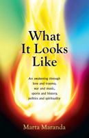 What It Looks Like: An awakening through love and trauma, war and music, sports and history, politics and spirituality 0985781424 Book Cover