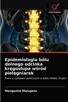 Epidemiologia bólu dolnego odcinka kręgosłupa wśród pielęgniarek: Praca w szpitalach publicznych w Addis Abebie, Etiopia 6203619418 Book Cover